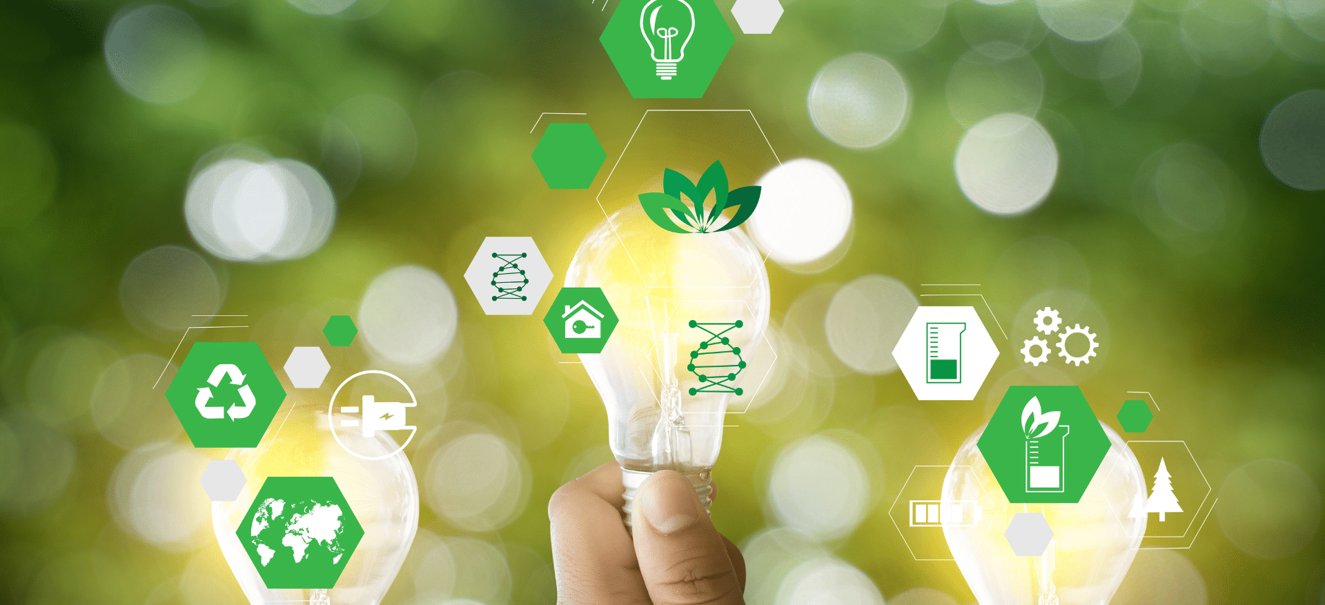 Read more about the article Going Green: Transforming Marketing Strategies for a Sustainable 2025