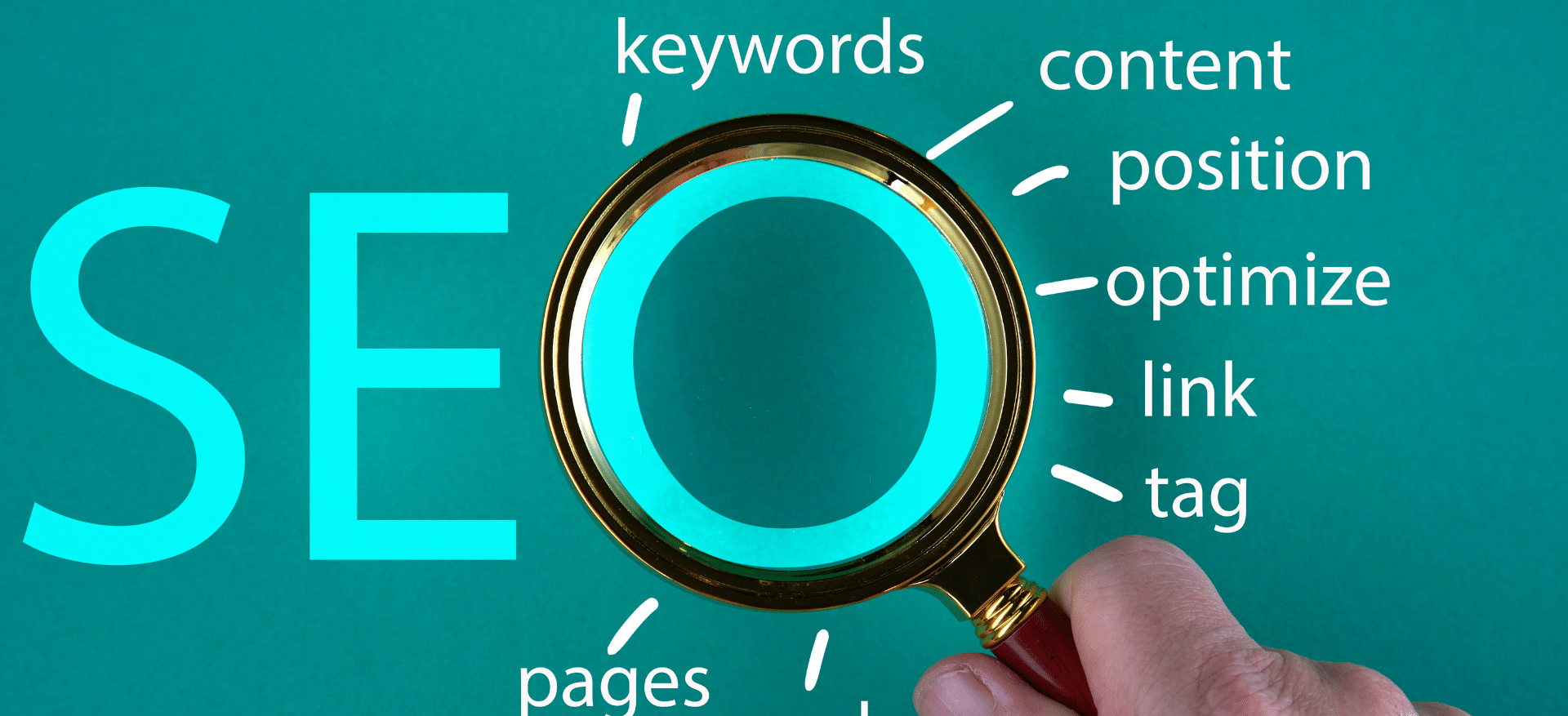 Read more about the article Key SEO Insights to Boost Your Rankings (And How Our SEO Packages Can Help!)