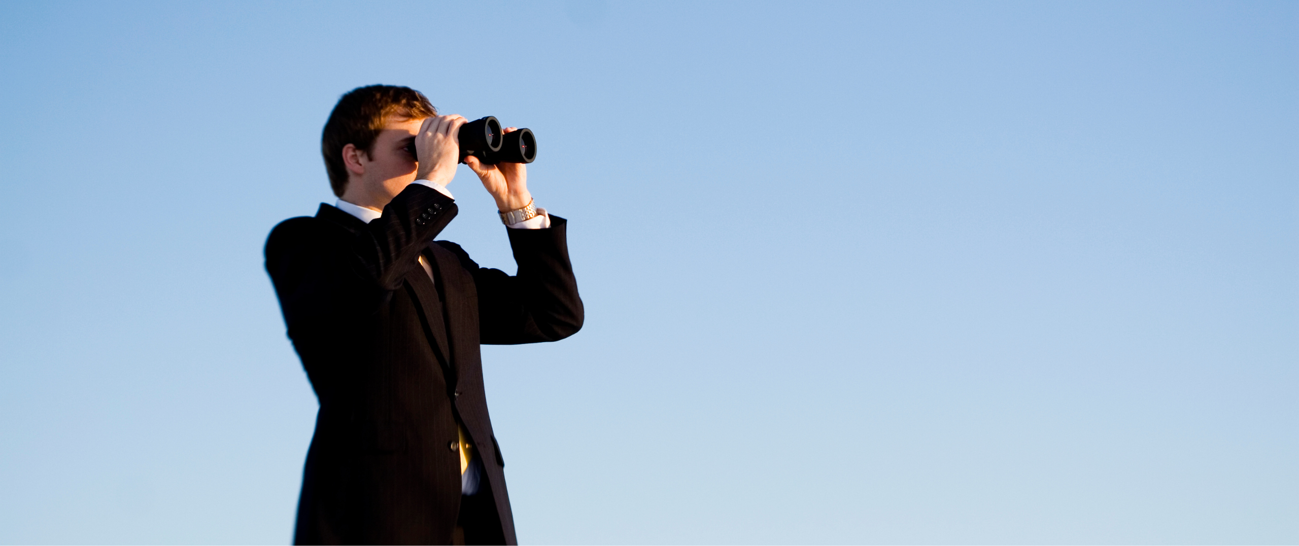 Read more about the article Holistic Search-Optimization (HSO): The Ultimate Strategy to Win Customers Everywhere They Search