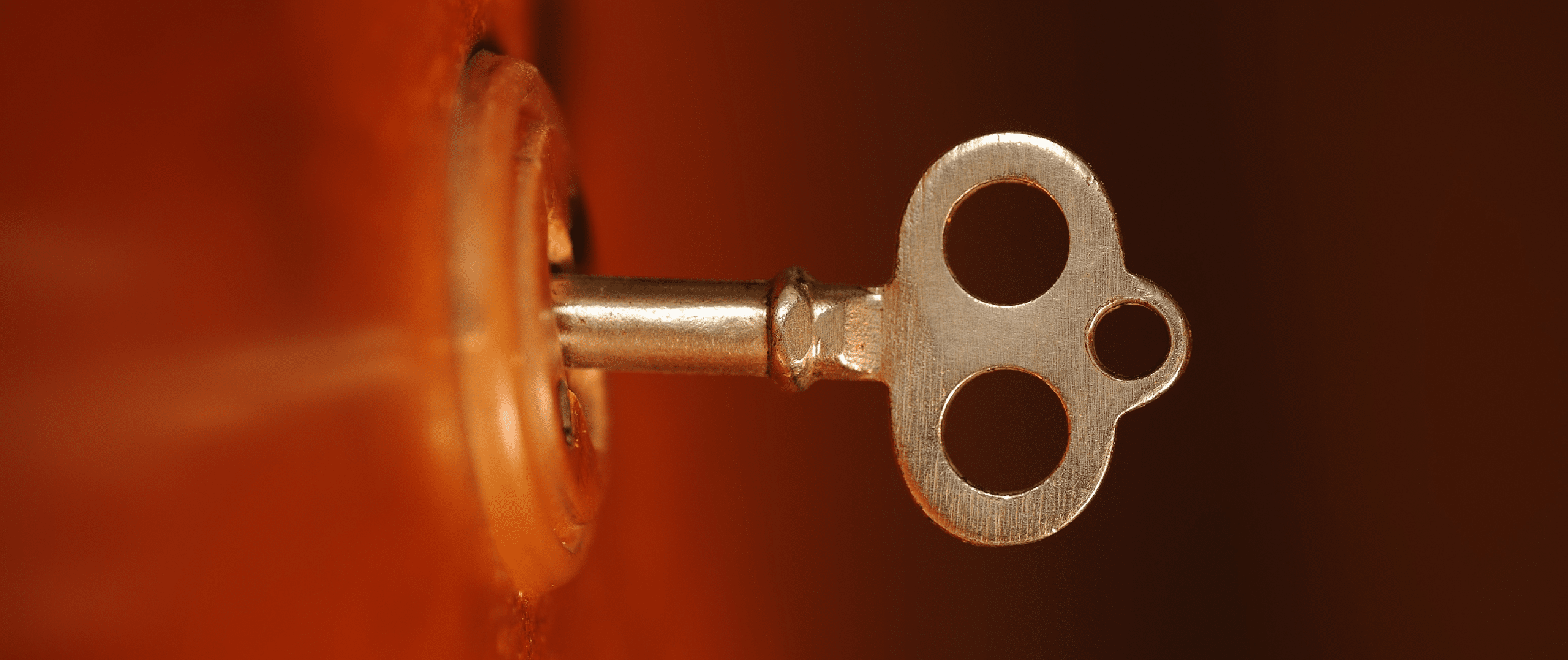 Read more about the article Visibility Unlocked: How Holistic-Search Optimization (HSO) Is Redefining Digital Success in 2025